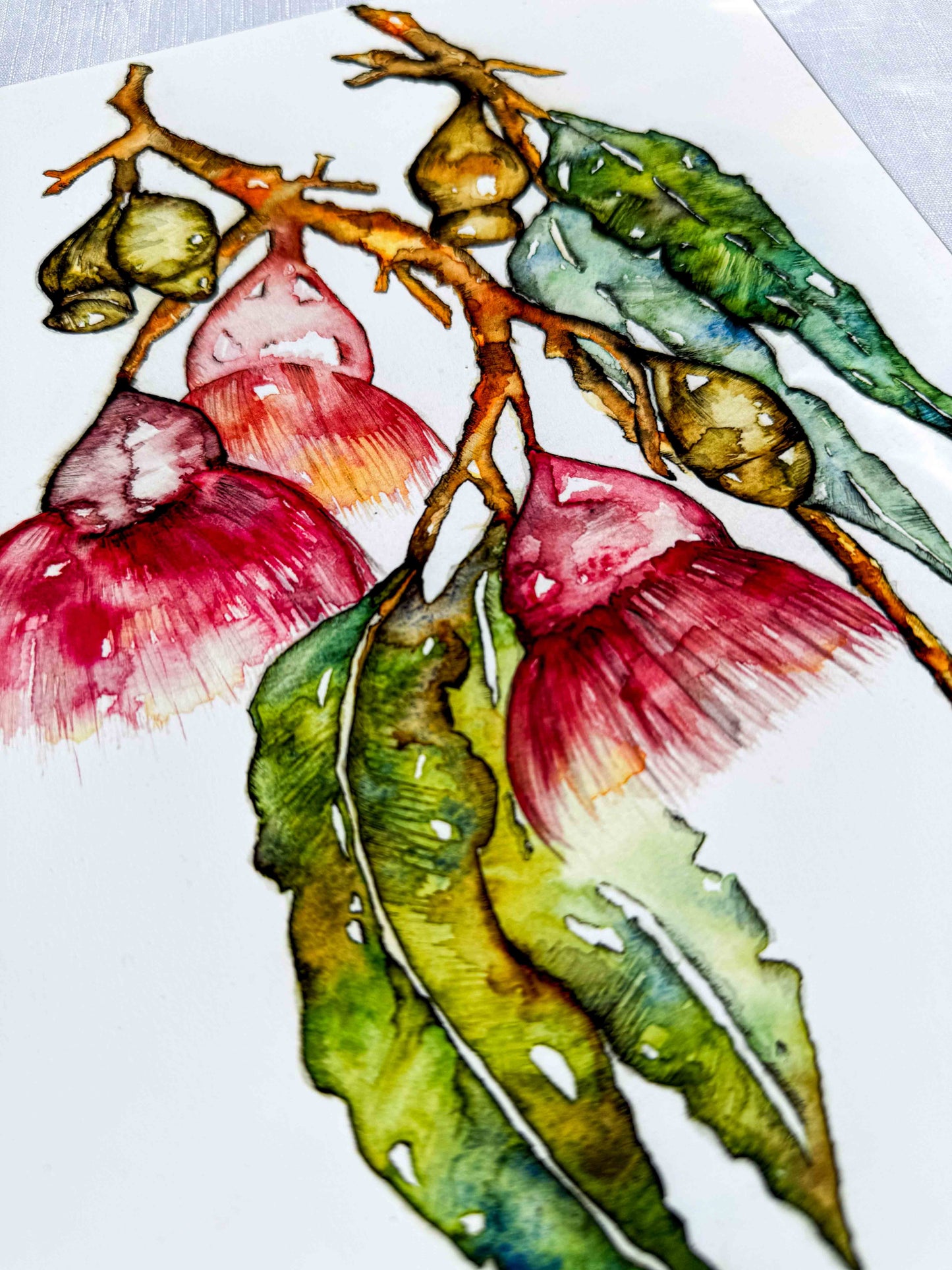 Bottle Brush Flower Greeting Card – Watercolour & Ink Illustration