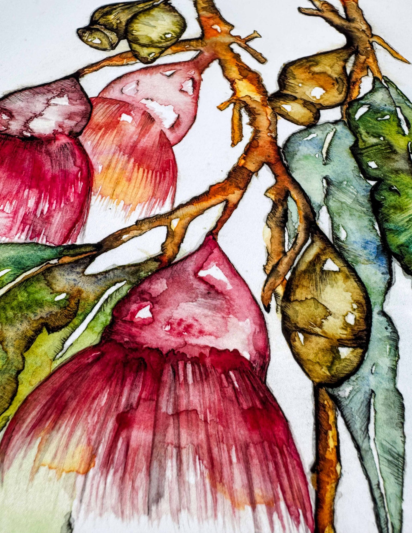 Bottle Brush Flower Greeting Card – Watercolour & Ink Illustration