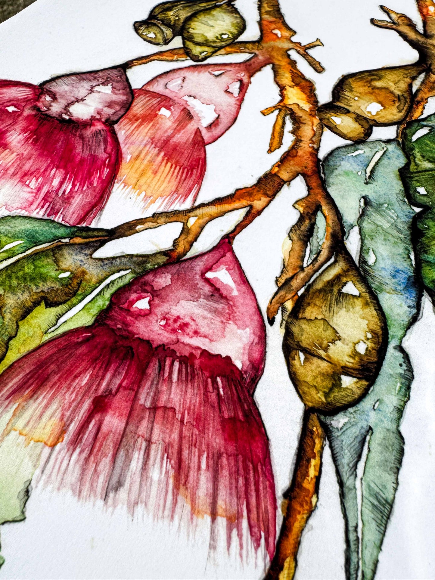 Bottle Brush Flower Greeting Card – Watercolour & Ink Illustration