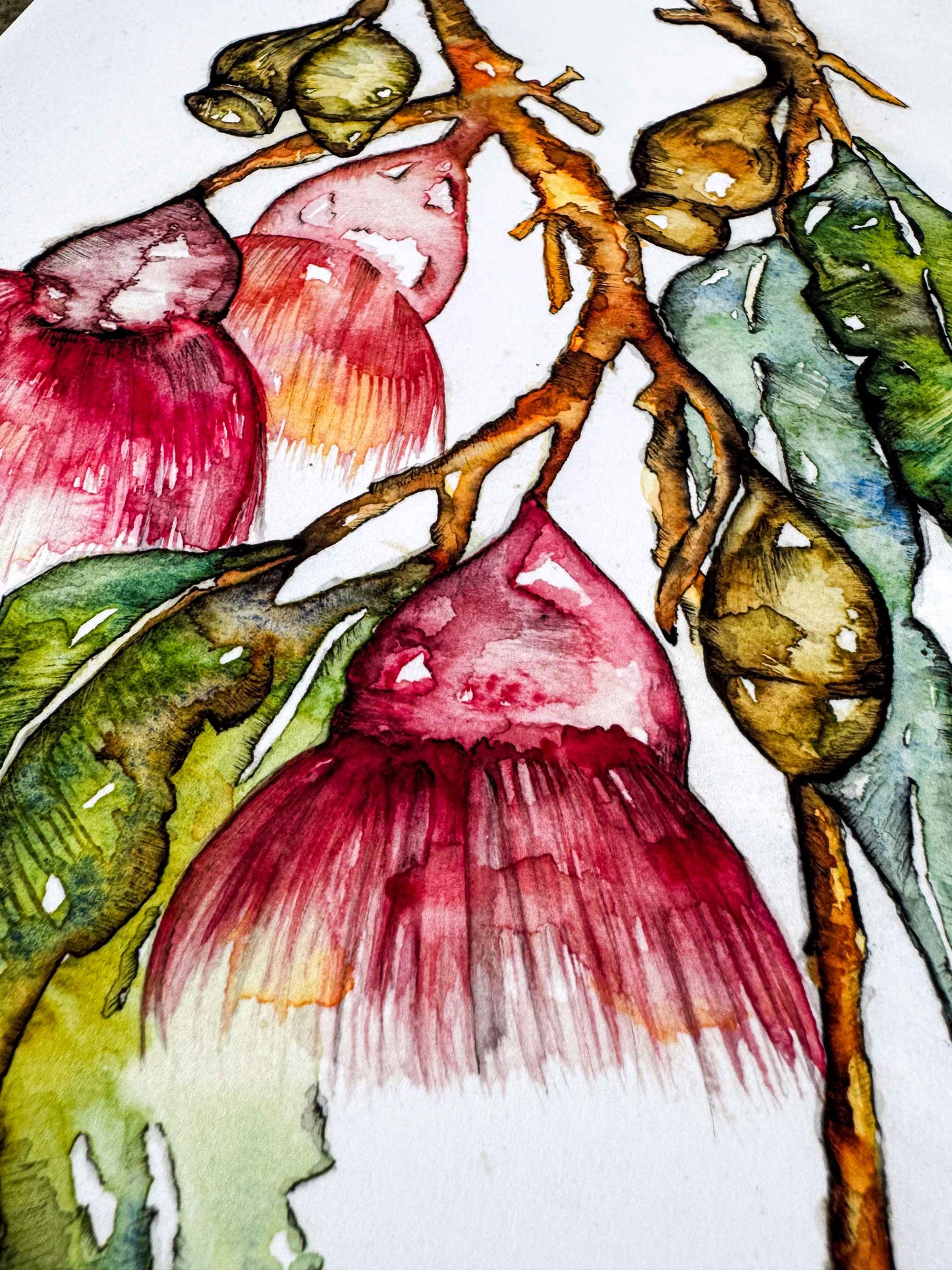 Bottle Brush Flower Greeting Card – Watercolour & Ink Illustration