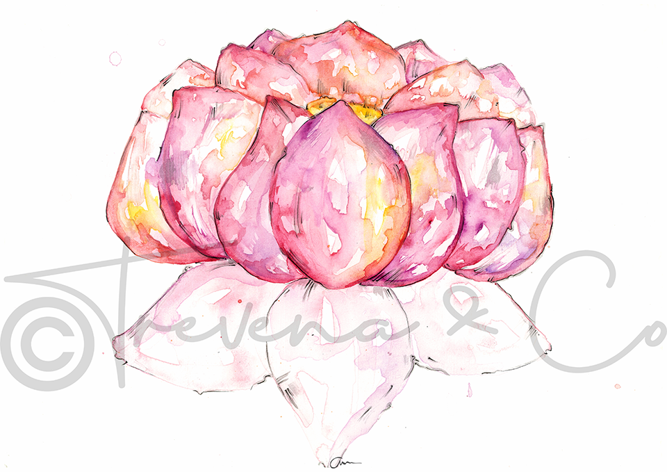 Lotus Flower Art Print – Hand-Painted Watercolour & Ink Illustration