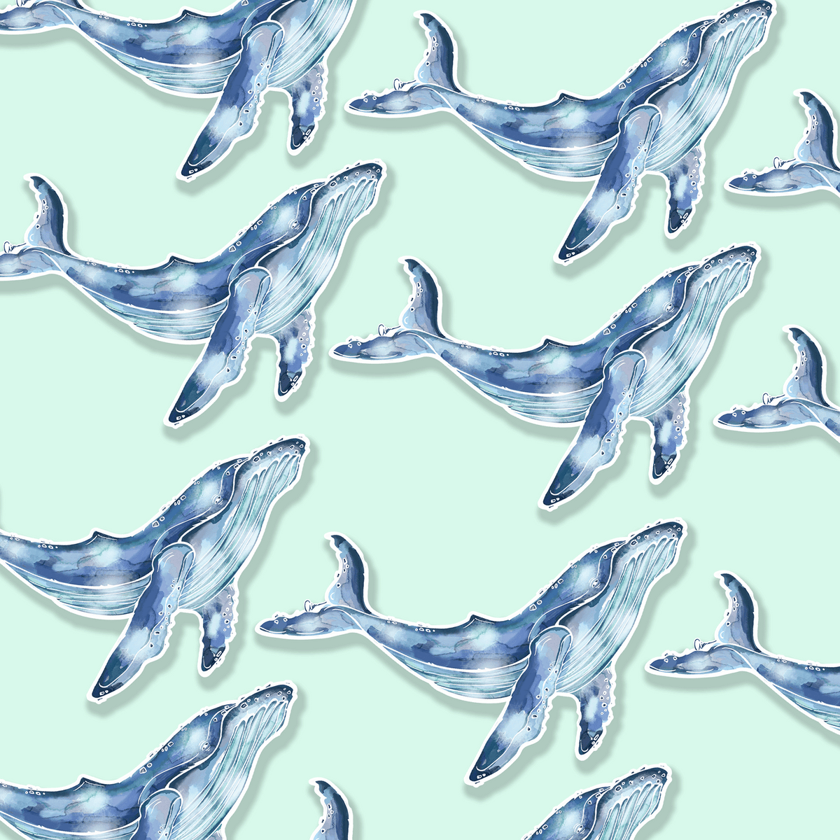 Humpback Whale Watercolour Illustration Vinyl Sticker
