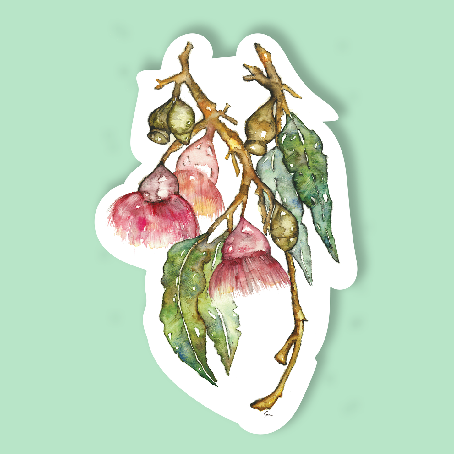 Bottle Brush Flower Watercolour Vinyl Sticker