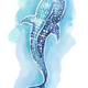Whale Shark