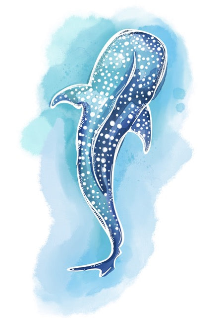 Whale Shark Watercolour Art Print – Ocean Animal Wall Art