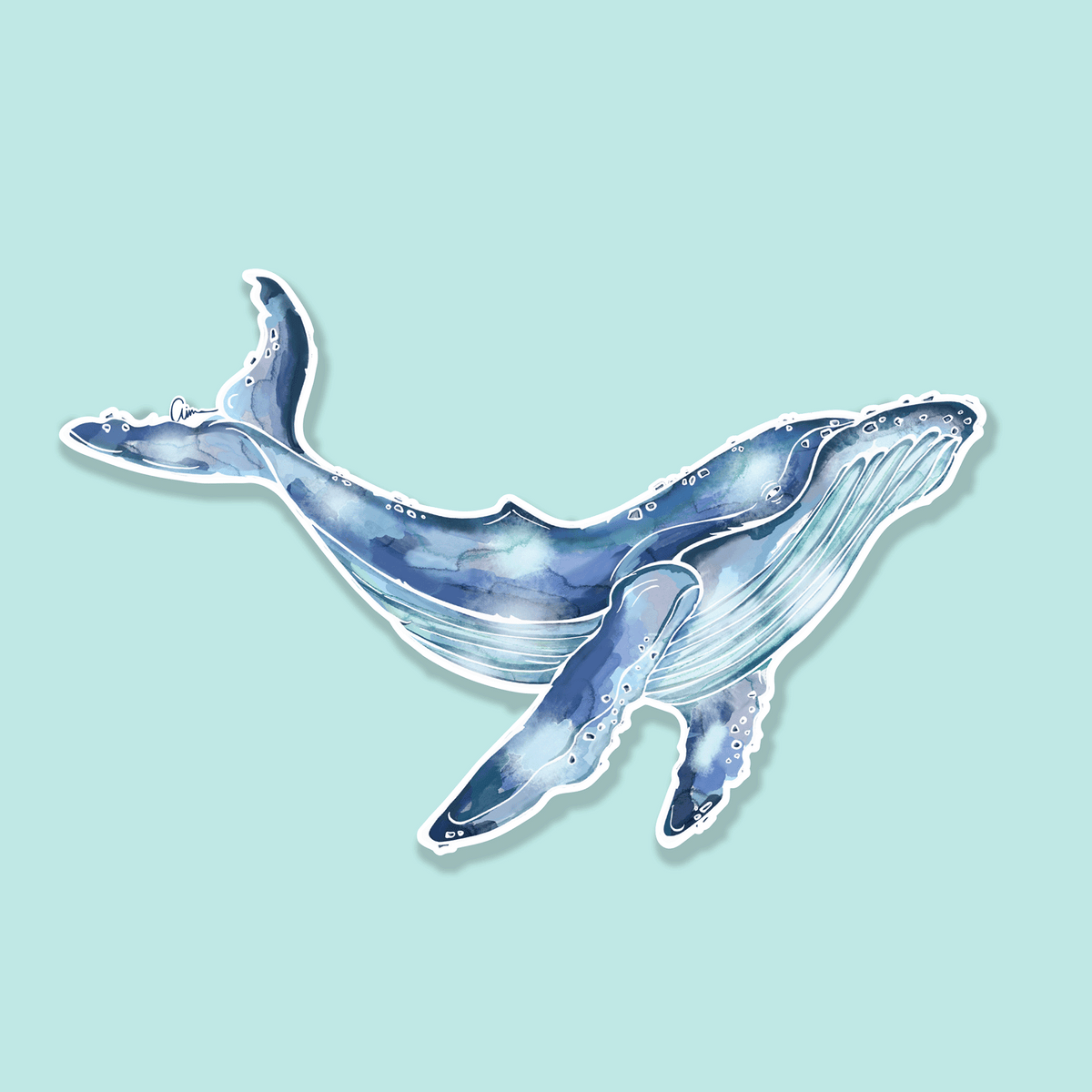 Humpback Whale Watercolour Illustration Vinyl Sticker