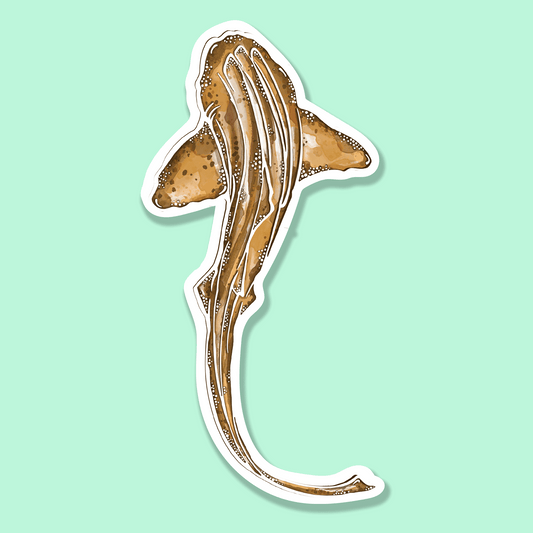 Lepoard Shark Watercolour Illustration Vinyl Sticker