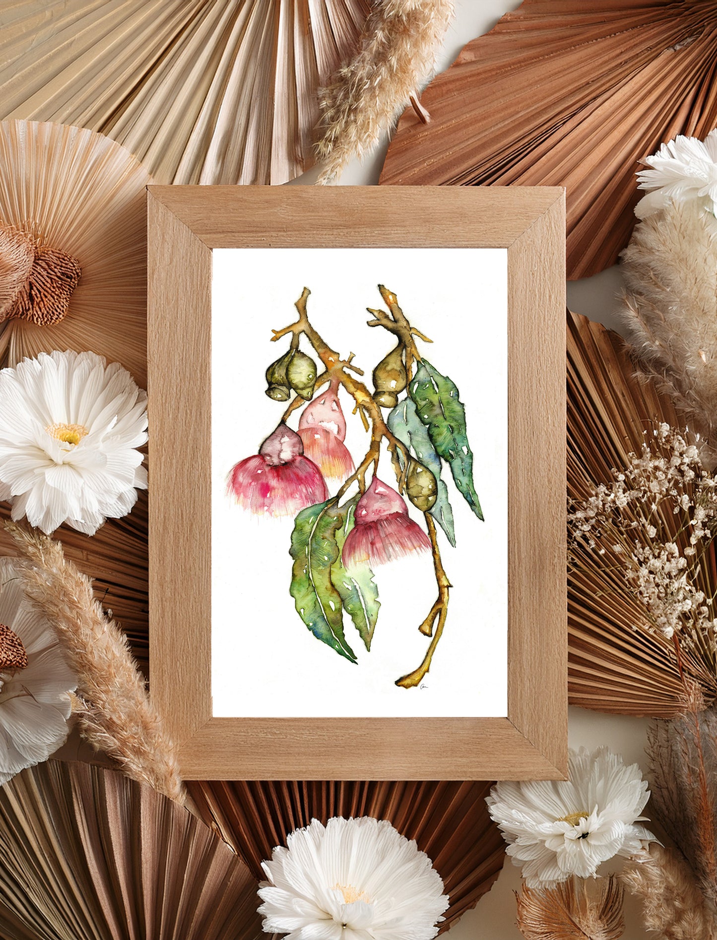 Native Australian Botanical Watercolour  - Gum Leaf and Flower Print