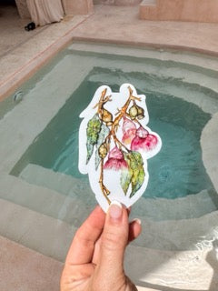 Bottle Brush Flower Watercolour Vinyl Sticker