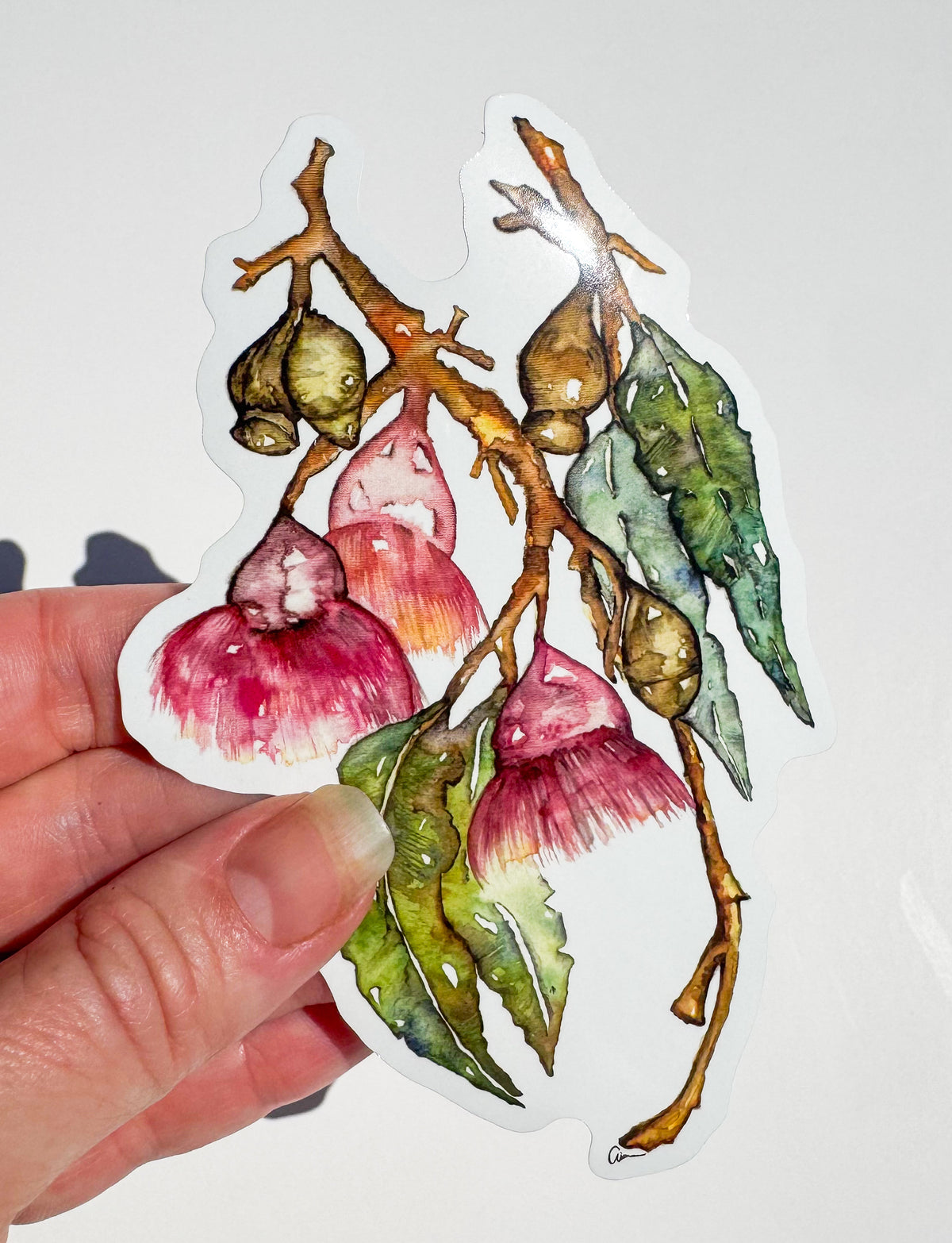Nature Sticker Sheet – Bottle Brush & Mushroom Watercolour Illustrations